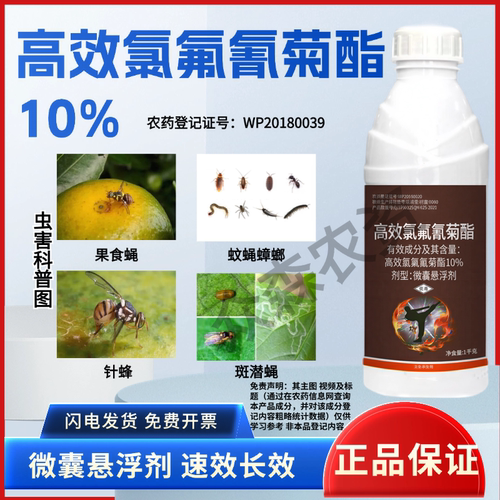 10%高效氯氟氰菊酯微囊悬浮剂蚊蝇果食蝇针蜂斑潜蝇地下虫杀虫剂