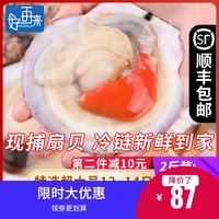 夏夷贝新鲜粉丝扇贝鲜活冷冻带壳超大2斤当季海鲜水产蒜蓉绝配