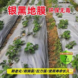 银膜地膜银黑双色种莱地反光银光地膜模辣椒窄一米宽盖菜茄子菜豆