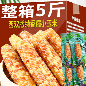 云南西双版纳香糯小玉米新鲜真空即食花甜糯傣家小苞谷玉米棒代餐