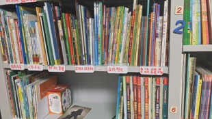 PVC分类隔板图书馆文本文件柜档案标签隔离板塑料货架整理挡板