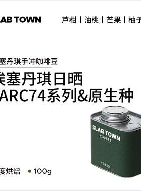 SLAB TOWN 埃塞原生种丹琪日晒 芒果菠萝 精品新鲜咖啡豆美式100g