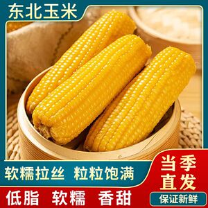 糯玉米玉米新鲜现摘棒甜糯东北玉米餐粗粮真空包装整箱即食苞米