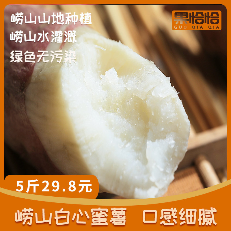 山东粉皮白蜜薯白心板栗薯山地新鲜番薯地瓜新鲜农家5斤红薯山芋