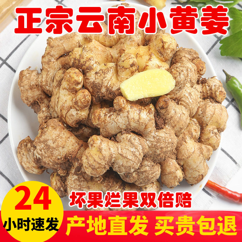 江西贵州云南罗平小黄姜生姜老姜鲜姜嫩姜新鲜姜月子姜淘菜菜蔬菜