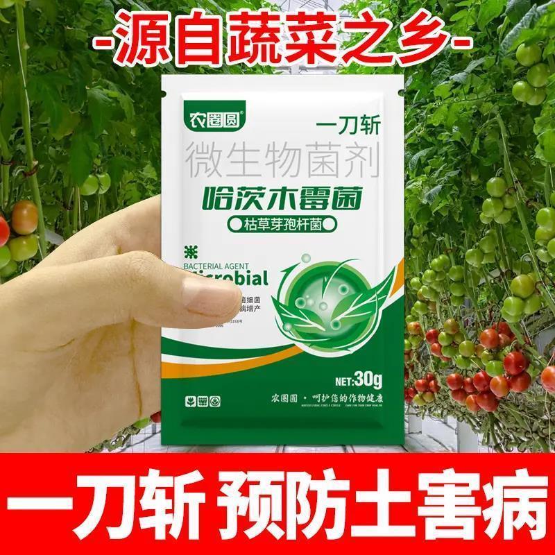 哈茨木霉菌一刀斩改善土壤抗病增产喷施微生物杀菌剂花卉叶面肥料