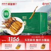 0.5克 2025头茬鲜草 阿依舍新鲜冬虫夏草0.4 根20根正宗鲜虫草