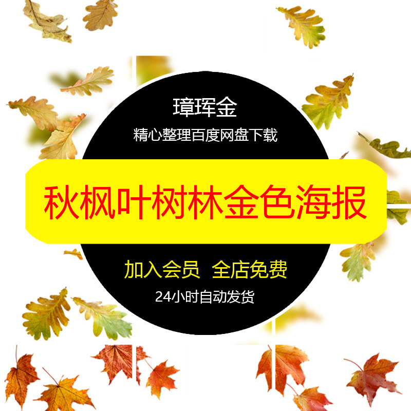 背景银杏PSD模板秋分立秋天秋枫叶素材秋季落叶金色风景海报sd21