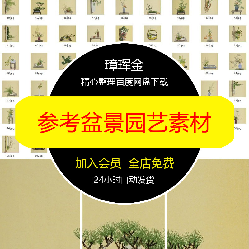 参考中国风盆景手绘工笔画植物绘画插花艺术园艺图片复古素材kv74