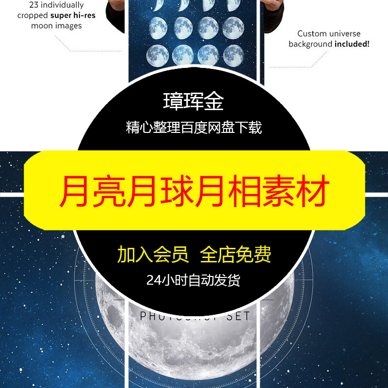 绘画中式手绘花卉设计古风秋菊植物临摹图片菊花工笔画素材pp51
