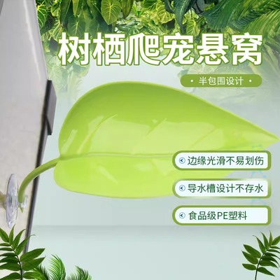 爬宠攀爬叶子树栖睫角守宫树蛙R属躲避饲养缸造景仿真吸盘假植