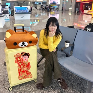 行李箱贴纸标识牌出入平安新年装饰出国专用防丢防拿错防盗显眼包