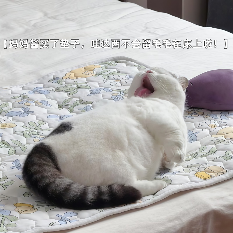 【床单不留毛！】猫咪垫子夏季睡觉凉席猫床宠物垫子狗狗四季通用
