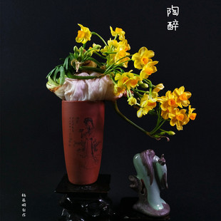 【黄金水仙花种球】普陀黄花矮化品种室内水养球根冬季水培花卉