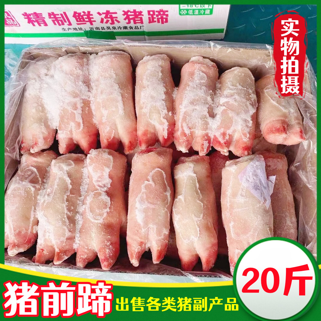 新鲜猪蹄 冷冻带筋猪前蹄 生鲜猪手 20斤 猪肘子 饭店卤菜店食品