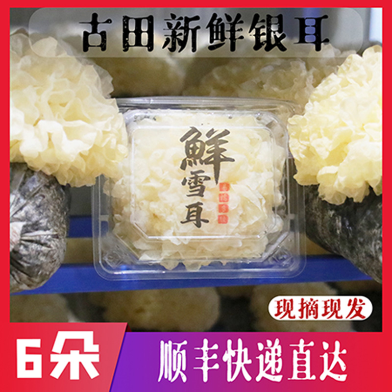 顺丰新鲜银耳6朵盒装古田特产级活鲜雪耳湿白木耳糯出胶包邮在类目 水产肉类/新鲜蔬果/熟食, 新鲜蔬菜/蔬菜制品, 新鲜蔬菜, 新鲜银耳中 - 来自Buy2taobao.com提供专业的淘宝代购服务