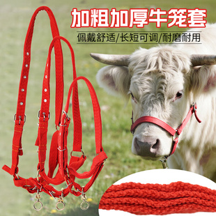 栓牛笼头牛头套牛龙套笼头全套大牛头套牛笼头马笼头加厚可调节