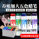 兽用记号蜡笔记号笔红绿蓝五色猪牛羊兽用画笔兽用标记蜡笔养殖场
