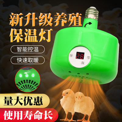 宠物暖风机养殖保温灯