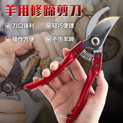 羊修踢剪刀修羊蹄子钳子工具