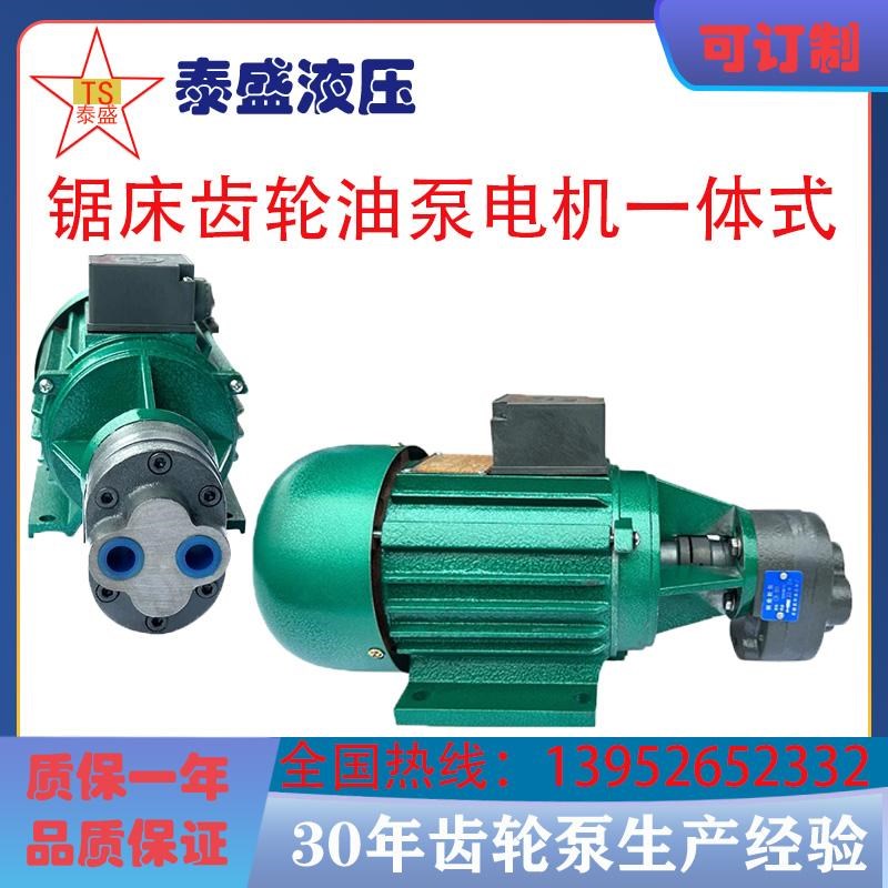 CB-B4/B6/B10锯床齿轮油泵电机370/550W金华龙达正方YS7124/7134