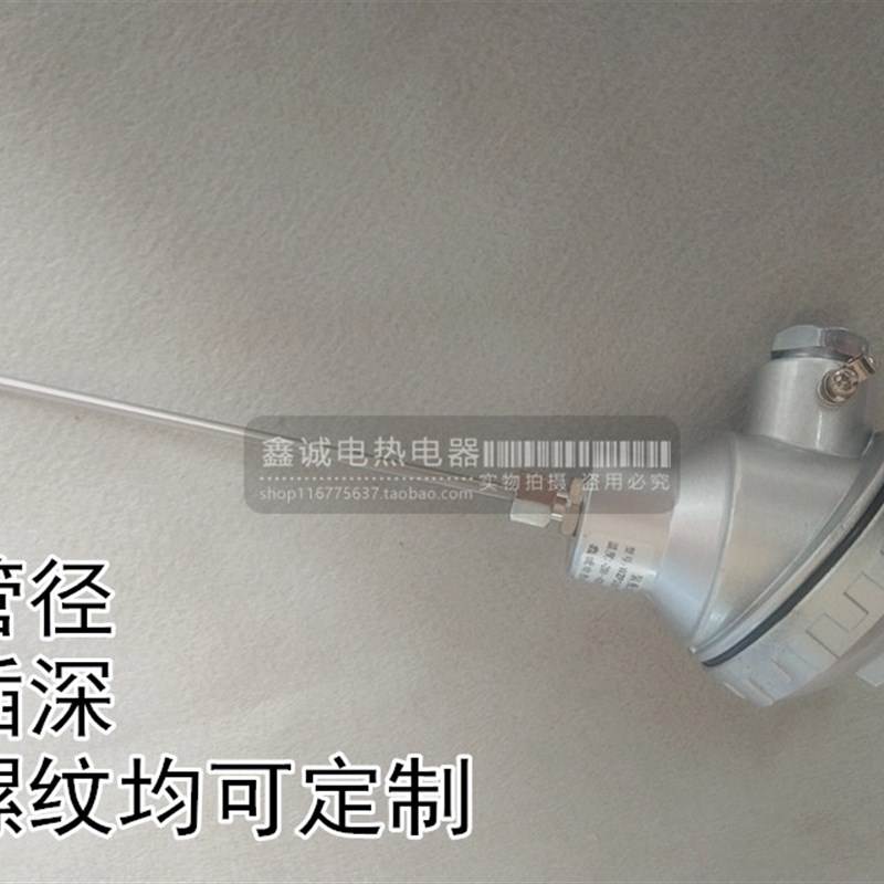 WZP2-231/i230 双支热电阻 PT100铂热电阻 固定螺纹式热电偶 探头