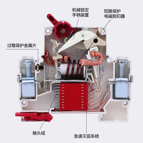 DZ47LE-63 1P+N 2P 3P小型家用漏电保护器断路器空气开关32 63a