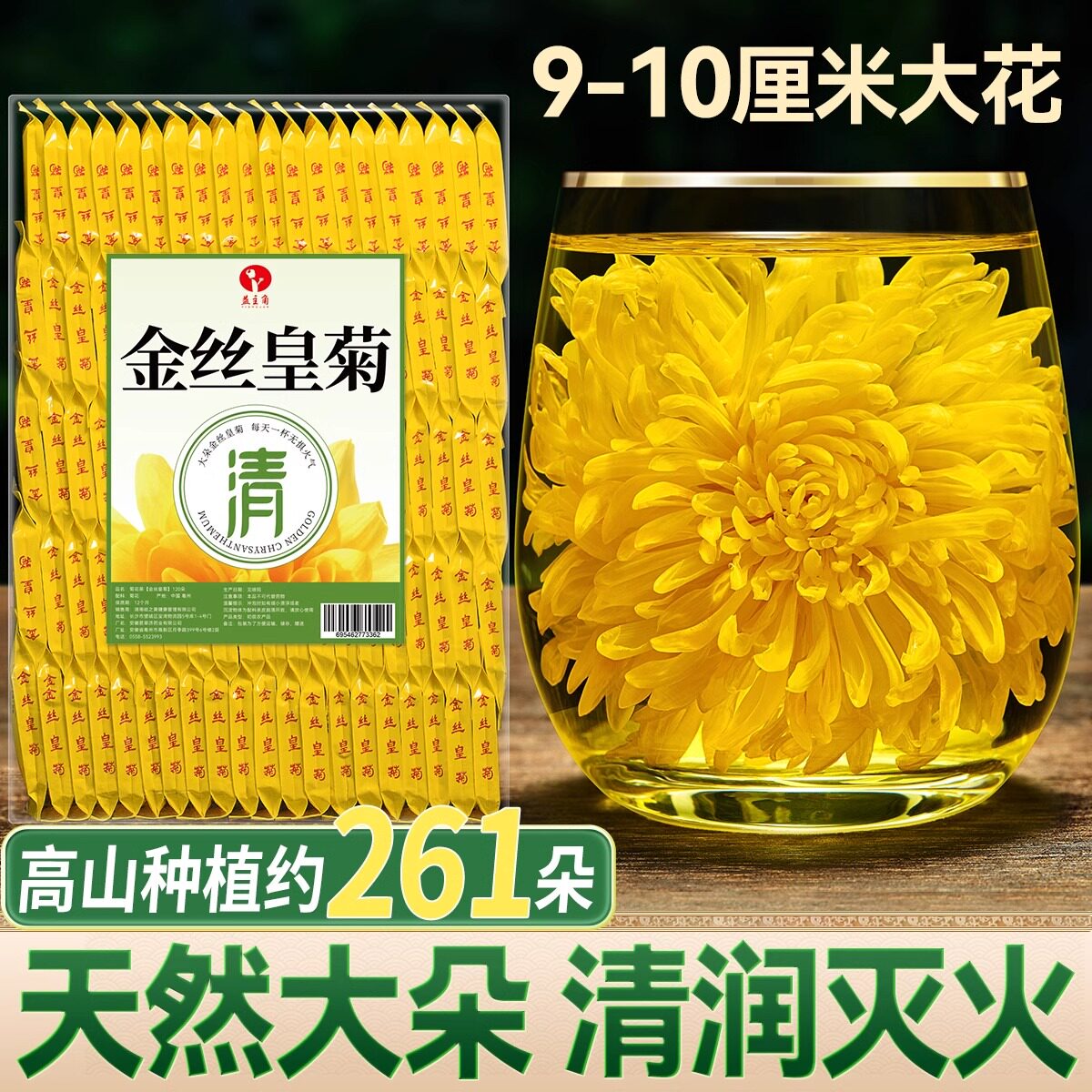 金丝皇菊高山种植菊花茶