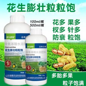 肥公肥婆花生膨大粒粒饱膨壮绿叶颗粒饱满提产量农肥花生专用肥