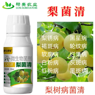 梨菌清梨树专用微生物菌剂专用肥炭疽黑斑夜斑疫病烂果梨树病菌清