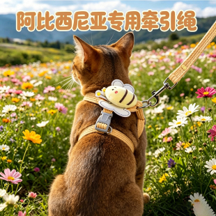 阿比西尼亚专用猫咪牵引绳小猫超小号外出胸背幼猫背心式防挣脱