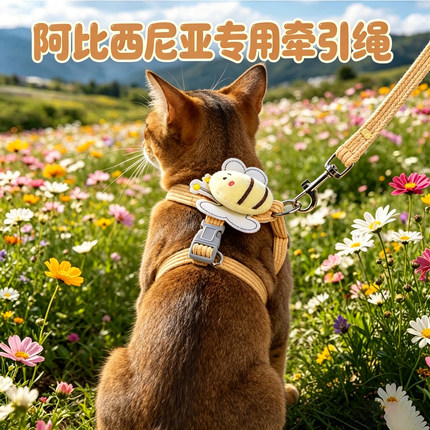 阿比西尼亚专用猫咪牵引绳小猫超小号外出胸背幼猫背心式防挣脱