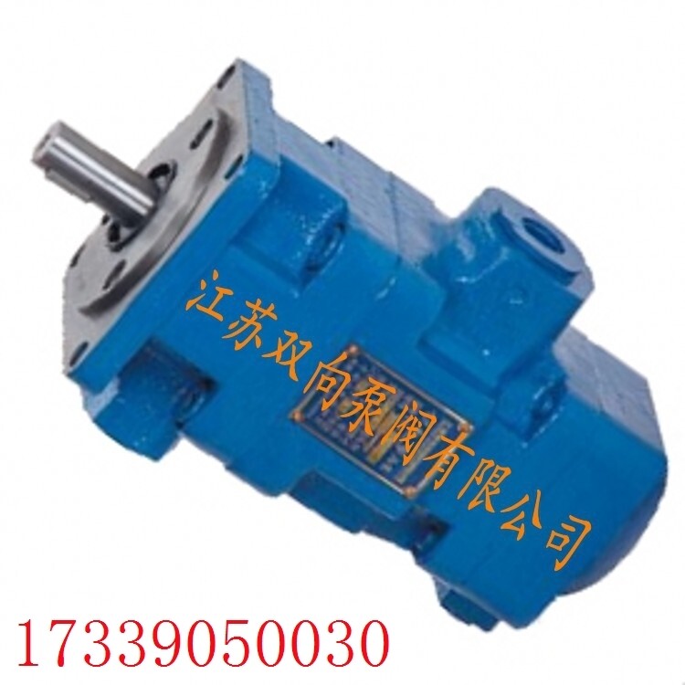 双向牌叶片泵yb1-4 yb1-6 yb1-10叶片泵 液压定量泵 双联油泵