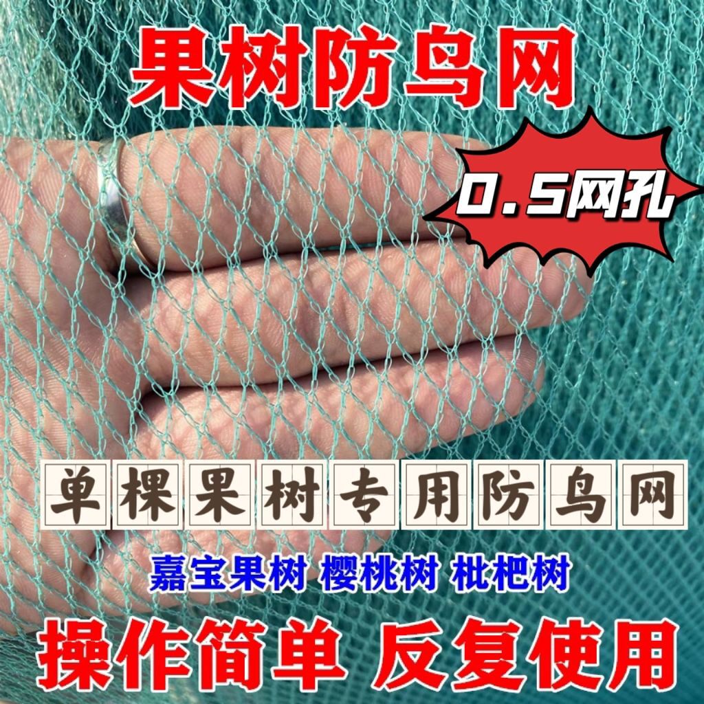 果树防鸟网 嘉宝果樱桃树枇杷树嘉宝树防鸟罩网葡萄园挡鸟拦鸟网