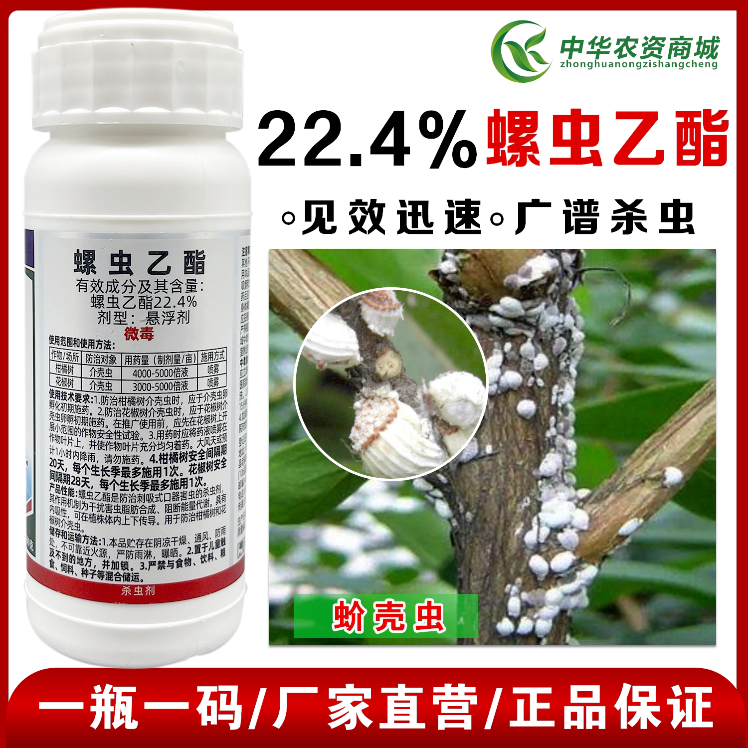 螺虫乙酯介壳白粉虱梨木绿叶