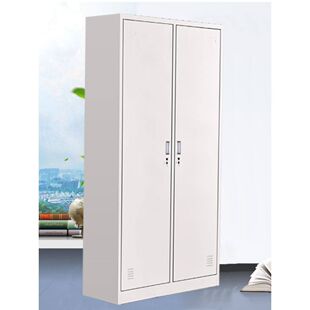 新款二门双门更衣柜员工柜铁皮职工两门柜带锁存包柜鞋柜多门柜子