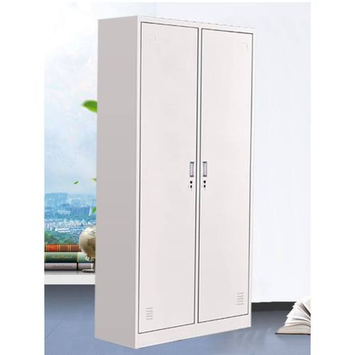 新款二门双门更衣柜员工柜铁皮职工两门柜带锁存包柜鞋柜多门柜子