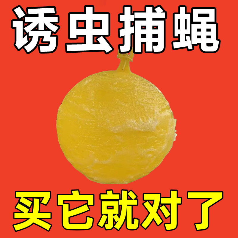 诱蝇球粘虫球瓜果实蝇防虫