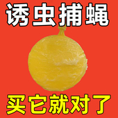 诱蝇球粘虫球瓜果实蝇防虫针蜂诱粘球粘蝇球粘柑橘实蝇果蝇诱捕器