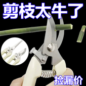 果树剪刀修枝神器摘果剪树剪花卉枝剪刀绿化嫁接园林园艺家用修剪