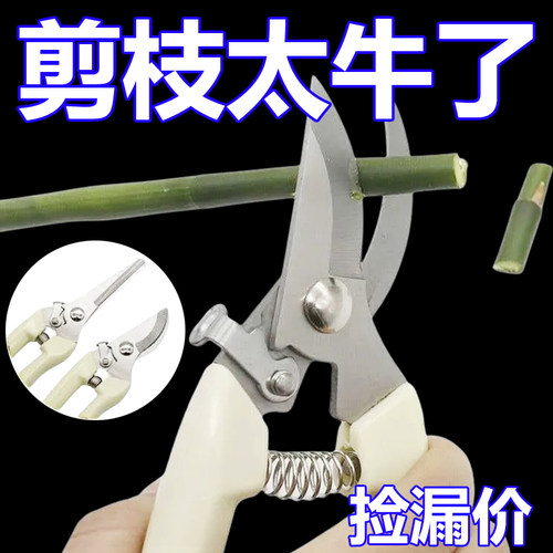 果树剪刀修枝神器摘果剪树剪