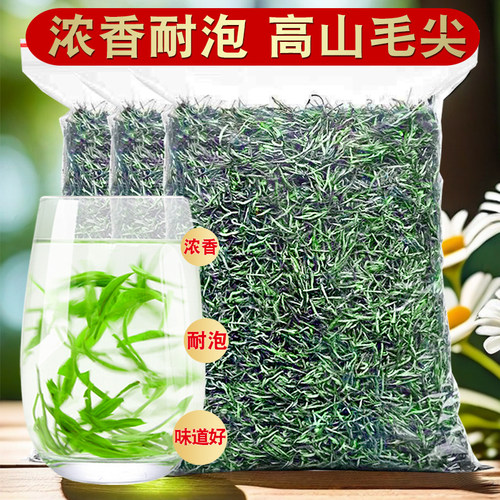 【厂家直供】高山毛尖绿茶浓香型2025新茶叶云雾炒青茶散装春茶