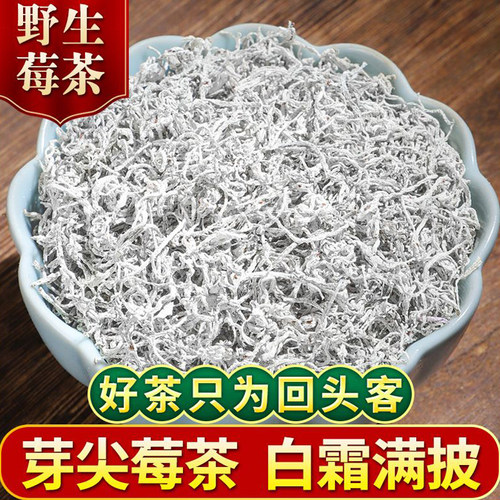 张家界芽尖莓茶野生龙须藤茶永顺芽尖霉茶正宗养生茶2026新茶叶