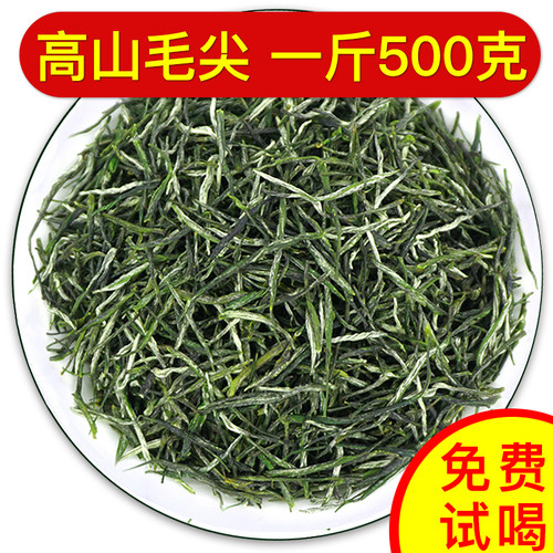 【热销】高山毛尖口粮新茶叶浓香型云雾炒青绿茶散装毛尖茶罐装
