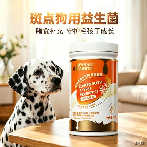 斑点狗专用狗狗益生菌补充剂小狗犬用吃的肠道老年犬宠物呵护肠胃