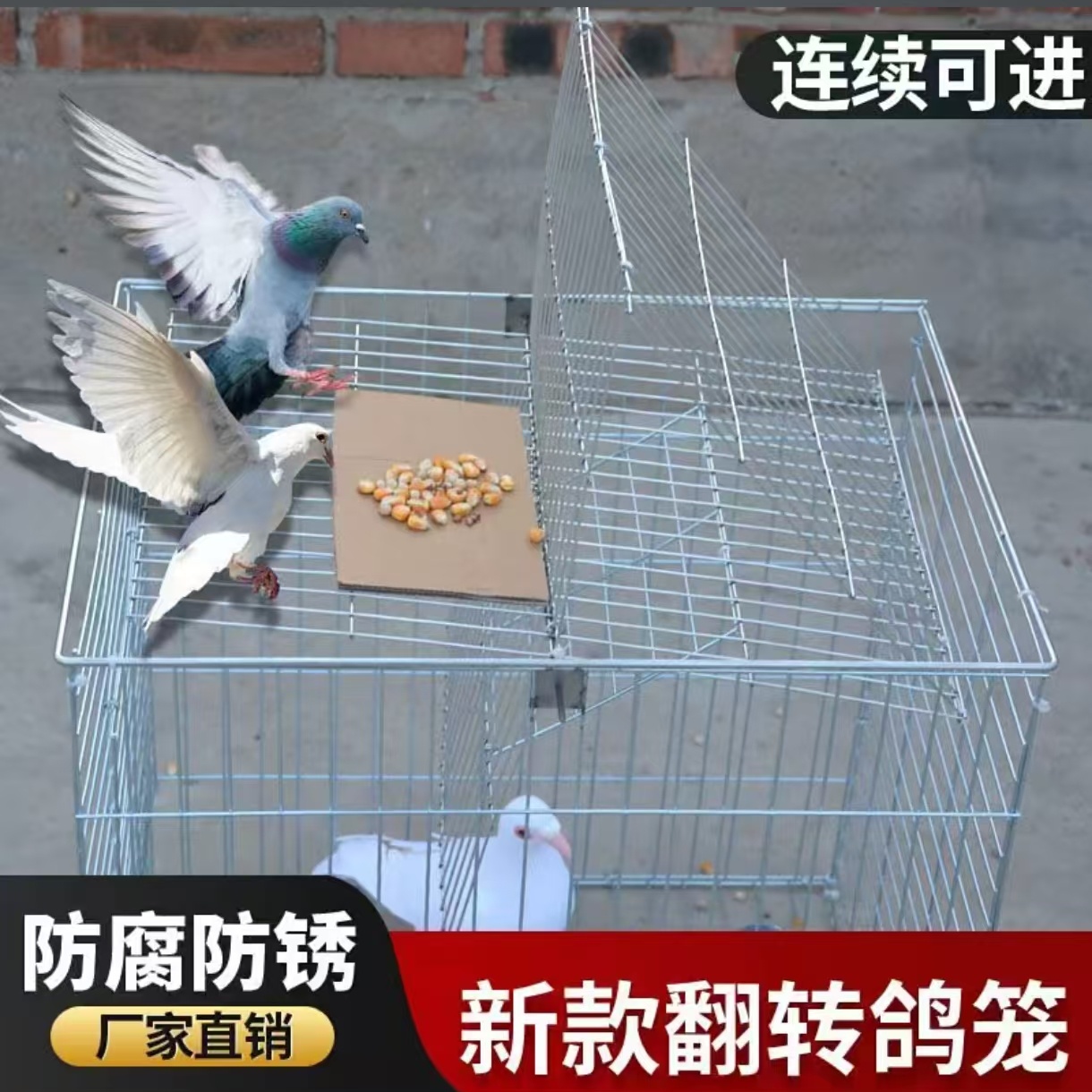 自动连续进鸽子笼加密粗防锈天落笼只进不出收鸽笼户外阳台翻转笼