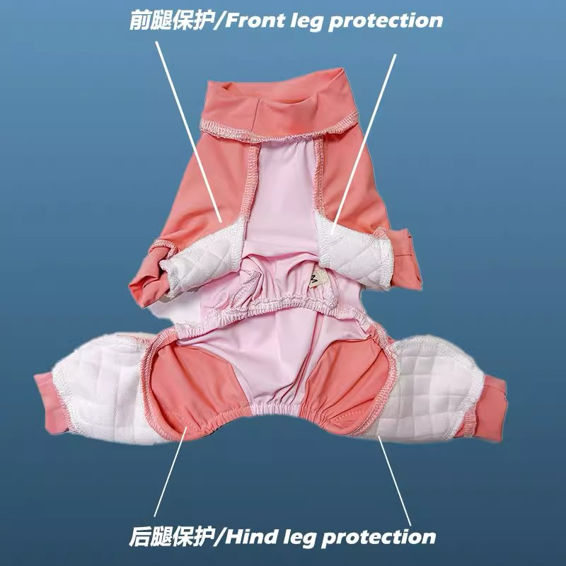 前腿后腿保护服四脚护肘