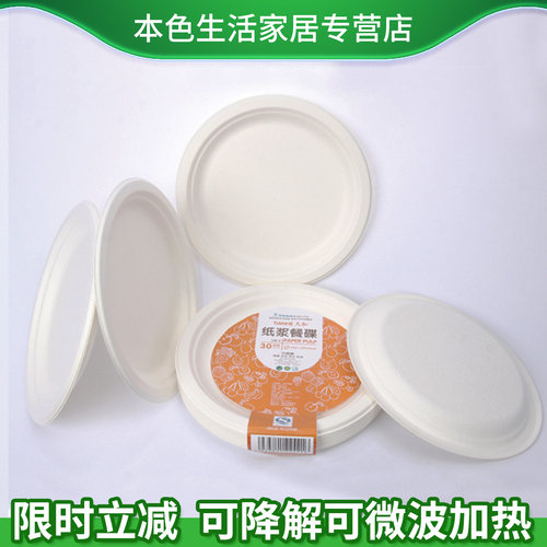 一次性可降解环保餐盘DIY绘画碟