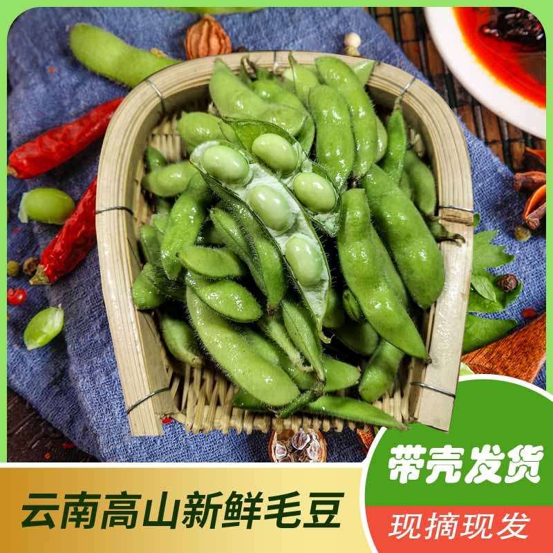 云南特产蔬菜新鲜毛豆现摘带壳冰毛豆仁角5斤酒店整箱青大豆包邮