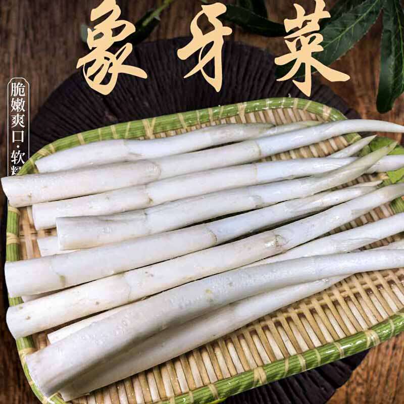 云南建水特产草芽象芽草毛草芽青菜时令蔬菜新鲜农家酒店组合配送